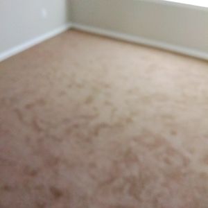 Brand new carpet and very nice sheet vinyl